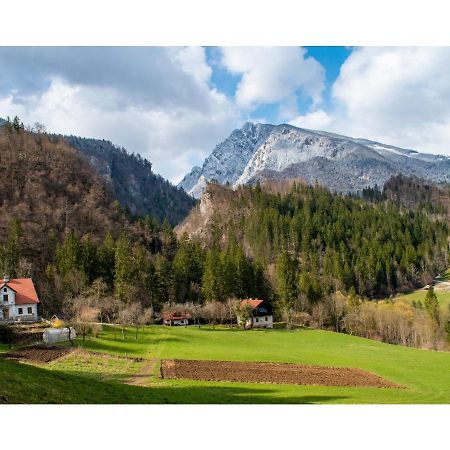 Luče Turisticna Kmetija Stoglejヴィラ エクステリア 写真