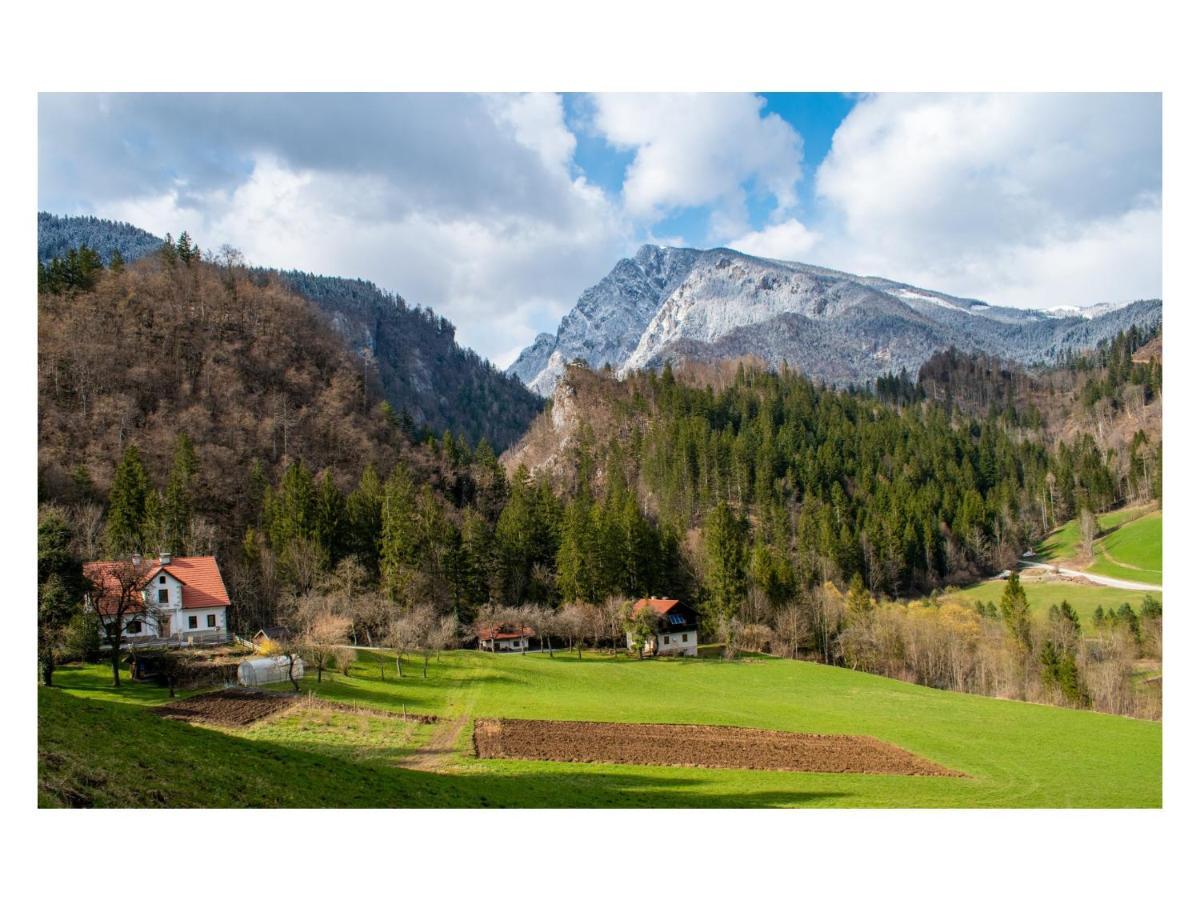 Luče Turisticna Kmetija Stoglejヴィラ エクステリア 写真