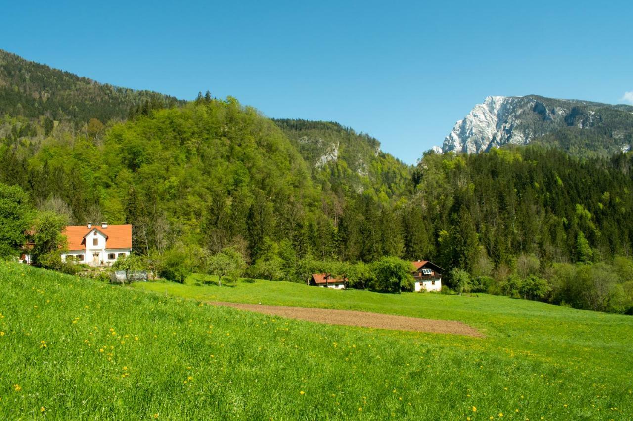 Luče Turisticna Kmetija Stoglejヴィラ エクステリア 写真