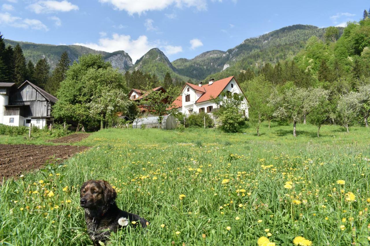 Luče Turisticna Kmetija Stoglejヴィラ エクステリア 写真